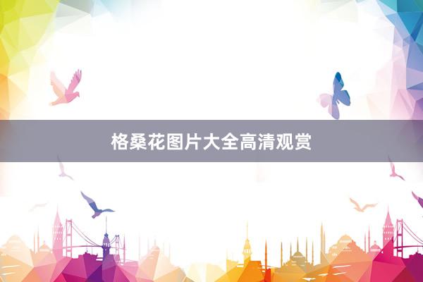 格桑花图片大全高清观赏