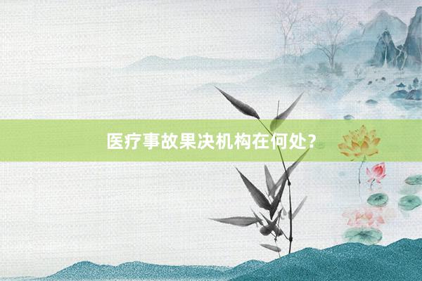 医疗事故果决机构在何处？