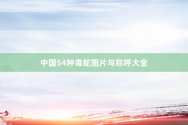 中国54种毒蛇图片与称呼大全